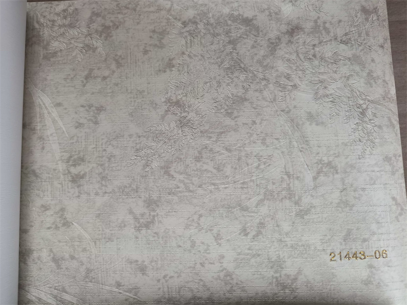 21443-06